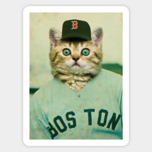 Baseball Cat Sticker